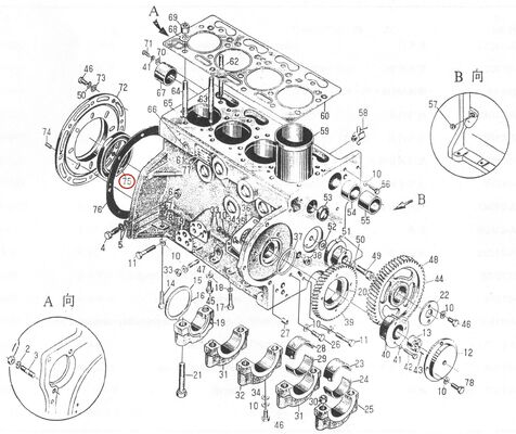 495AG Parti di ricambio per motori diesel - Sigillo dell'olio - PG100*130*12