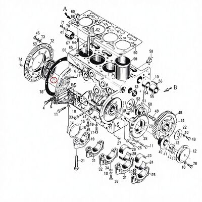 495AG Oli di scatolamento di parti di ricambio per motori diesel PG100*130*12 CN 1 kg
